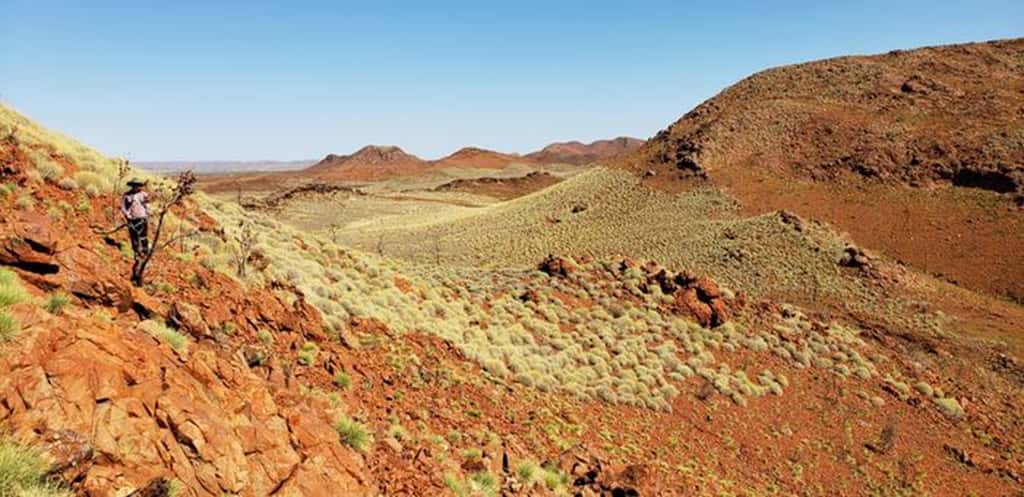 Cratère de Miralga, en Australie, analogue martien. © Aaron Cavosie, Curtin University
