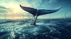 Donald Trump affirme que les éoliennes en mer tuent des baleines. Image générée par l'intelligence artificielle. © Watermill Studio, Adobe Stock