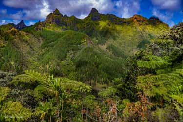 De tous côtés, les montagnes s’élancent dans le ciel comme des flèches de cathédrale. Une douzaine de forteresses, autrefois imprenables, témoignent de la bravoure et de la résilience des anciens guerriers polynésiens. Rapa, îles Australes © Thierry Suzan – Tous droits réservés