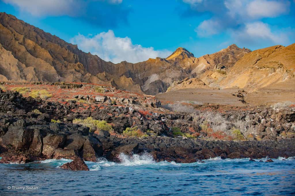 Les falaises de San Cristóbal dominent l’océan, offrant une vue imprenable sur les paysages volcaniques. Ce lieu préservé est un refuge pour de nombreuses espèces marines et terrestres. Punta Pitt, San Cristóbal© Thierry Suzan – Tous droits réservés