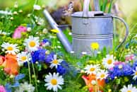 Un jardin composé d'un ensemble de belles fleurs © TheWaterMeloonProjec, Adobe Stock