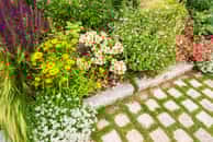 Massif d'été qui résiste à la sécheresse. © Image'in, AdobeStock