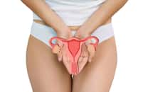 Un kyste ovarien est une petite poche remplie de liquide qui se développe sur l’un des ovaires ou sur les 2. © Peakstock, Adobe Stock