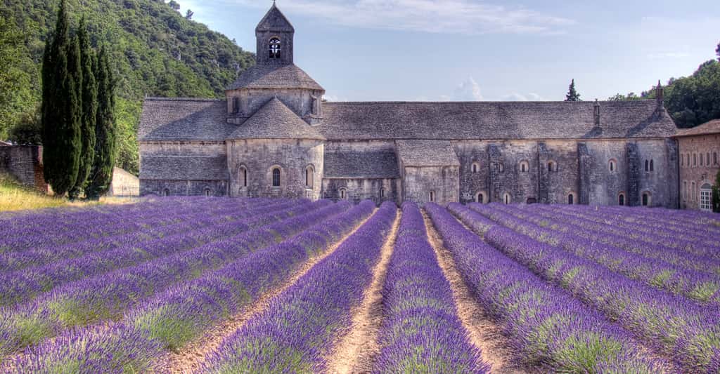 Abbaye de Sénanque. © Salva Barbera, Flickr, CC by-nc 2.0